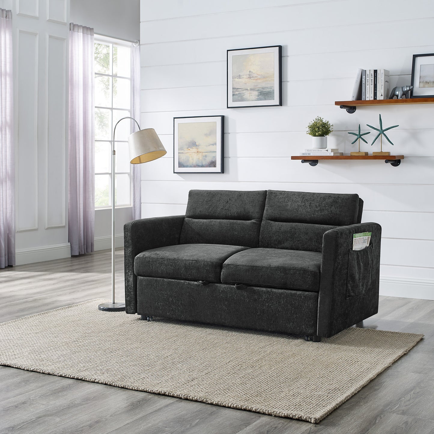 Loveseats Sofa Bed: Pull - out Bed, Adjustable Back, 2 Colors
