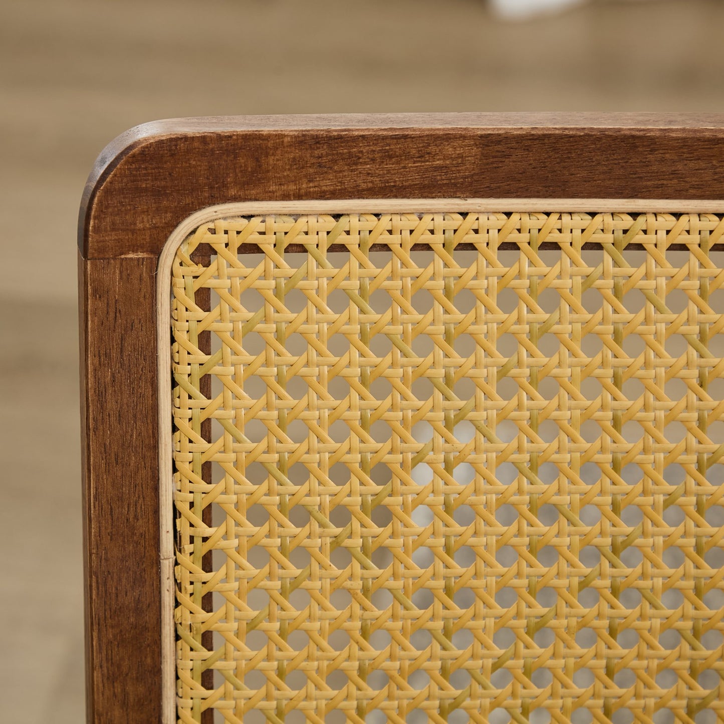 Mid Century Modern Dining Chairs Set of 2 Velvet 3 Colors